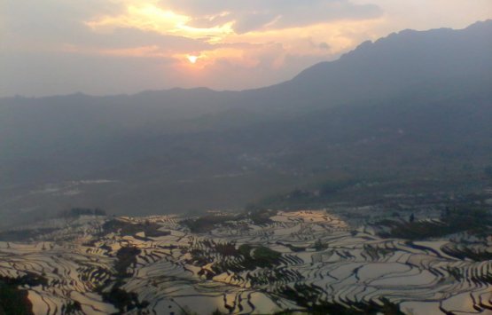 Image of Yuanyang Rice Terrace