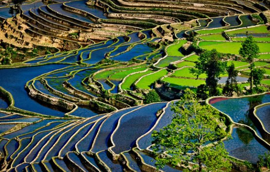 Image of Explore southern Yunnan including Jianshui, Hani rice terrace and Puzhehei 