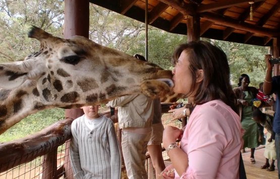 Image of Nairobi National Park, Giraffe Centre, Daphne Sheldrick Elephant Orphanage.
