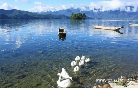 Image of Lashihai-migratory birds'heaven