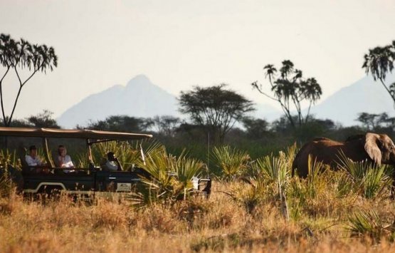 Image of The BEST of Kenya and Tanzania