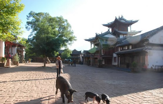 Image of 7-Day Classic North-west Yunnan Photography Tour