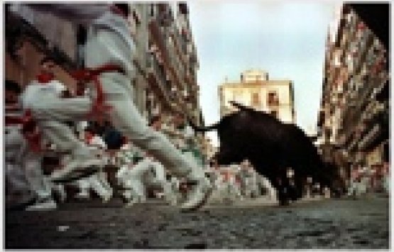 Image of Private Running of the Bulls tour	Pamplona's famous San Fermin festival