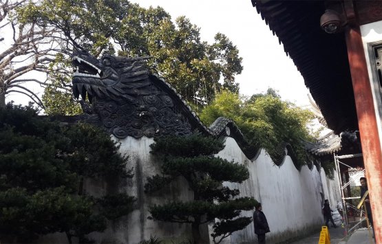 Image of Three days for Suzhou, Water Town and Shanghai