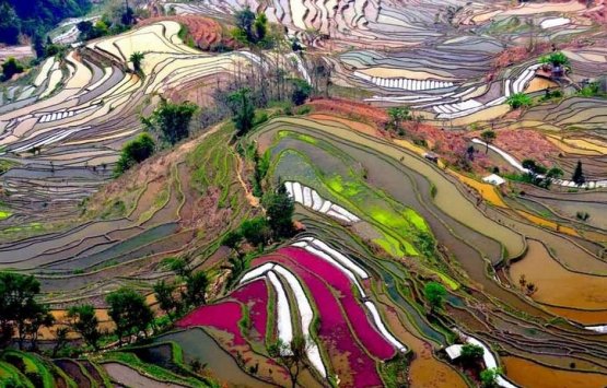 Image of Photography Tour of South-East Yunnan