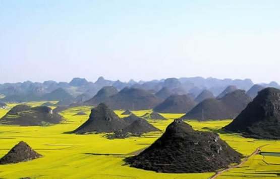 Image of 6 days Luoping rapeseed flower& Yuanyangi rice terrace Private photography tours (Feb. to April)