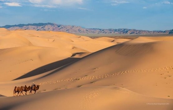 Image of Travel in Mongolian Gobi Desert