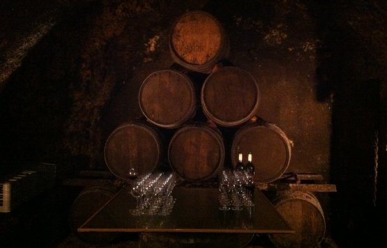Image of La Rioja wine day tour