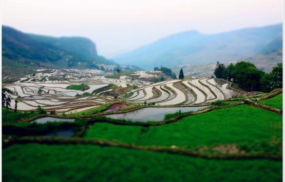 Image of 10 days Yunnan Photography Tour