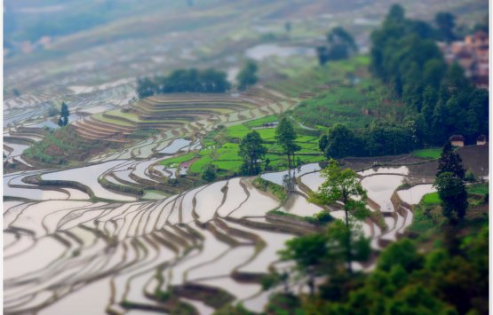 Image of 10 days Yunnan Photography Tour