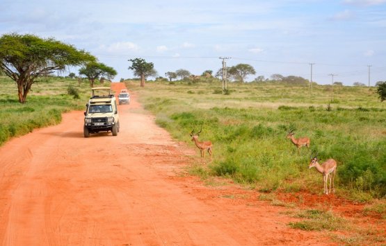 Image of Wildlife and Beach Holiday Kenya