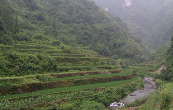 Image of 10 days deep explore in Hunan province