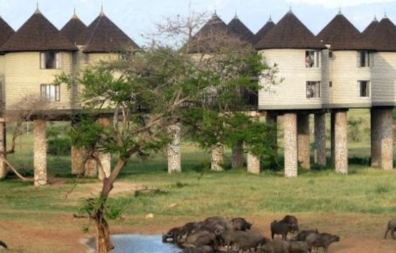 Image of Wildlife and Beach Holiday, Kenya 