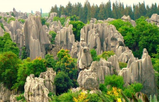 Image of Day trip from kunming to Shillin and jiuxiang 