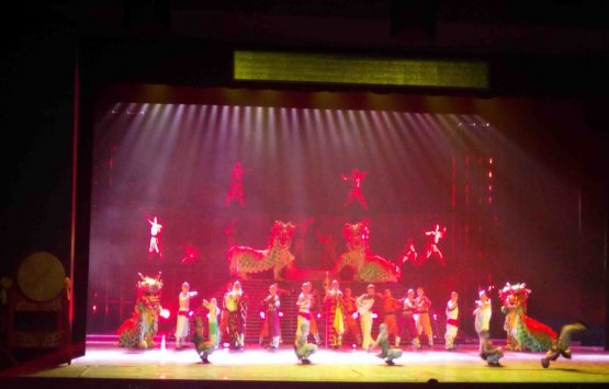 Image of Kung fu show