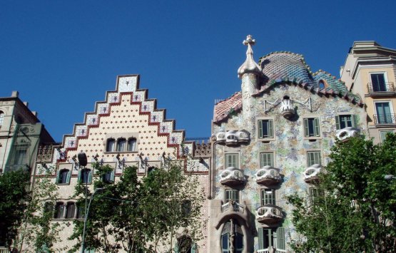 Image of Gaudi with an expert