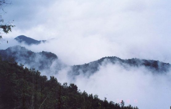 Image of 9 Days Survey Gaoligong Mountain Nature Reserve