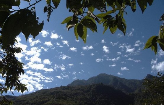 Image of 9 Days Survey Gaoligong Mountain Nature Reserve