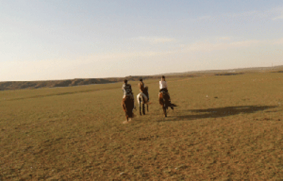 Image of Inner mongolia grassland and desert wild living three days tour