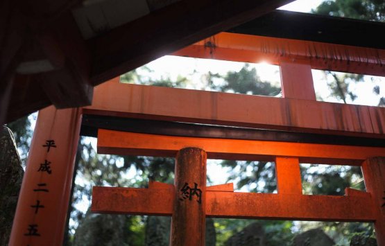 Image of The Alternative Fushimi Inari Walking Tour