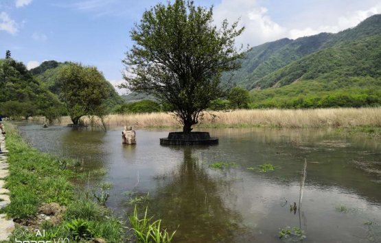 Image of Shennongjia Nature Reserve 2 Days Tour