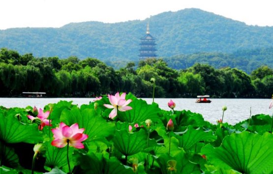 Image of Private Hangzhou Day Trip from Shanghai by Bullet Train