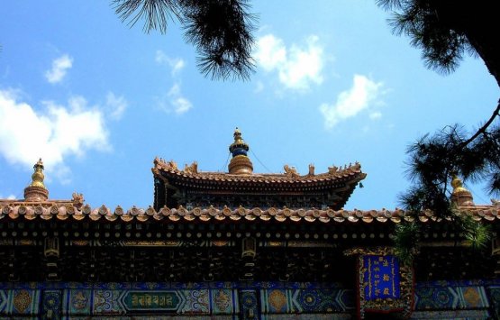 Image of Temple Line:Temple of Heaven + Lama Temple+Confucius Temple One Day Tour